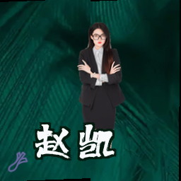 赵凯